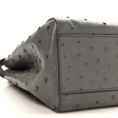 Ostrich Shiny Nappa Mini Peekaboo Iconic Satchel Grey