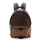 Reverse Monogram Palm Springs Backpack PM