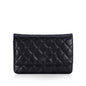 Chanel Wallet on Chain WOC Shoulder Bag
