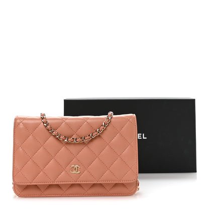 Lambskin Quilted Wallet on Chain WOC Salmon Pink