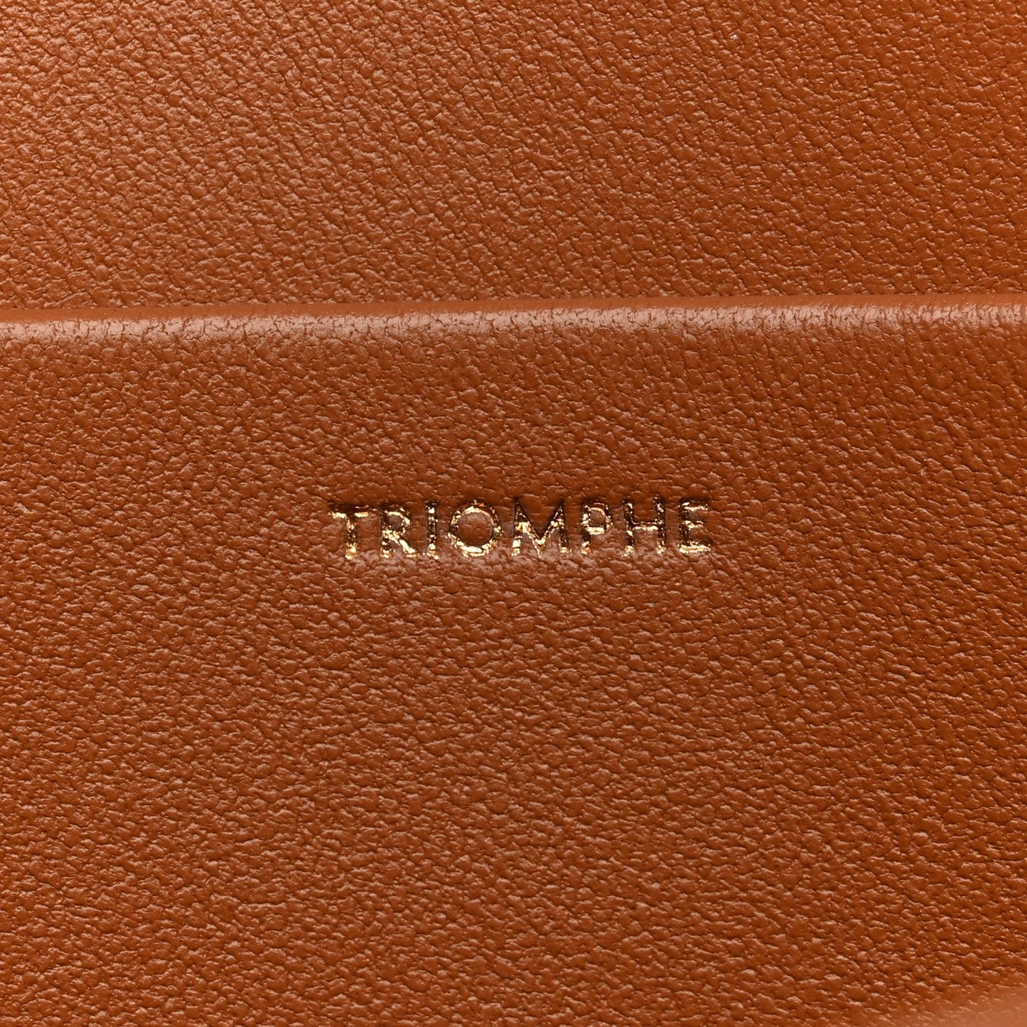 Natural Calfskin Medium Triomphe Tan