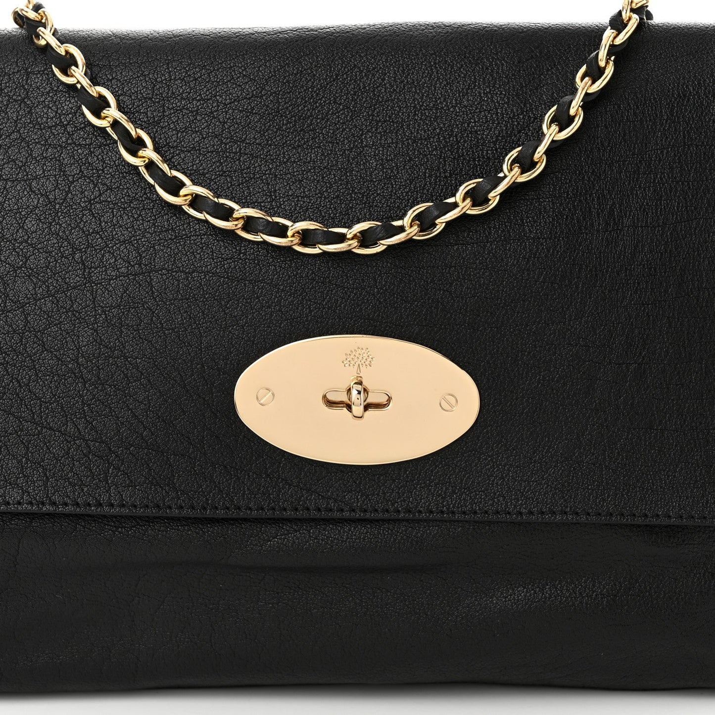 Shiny Buffalo Lily Black