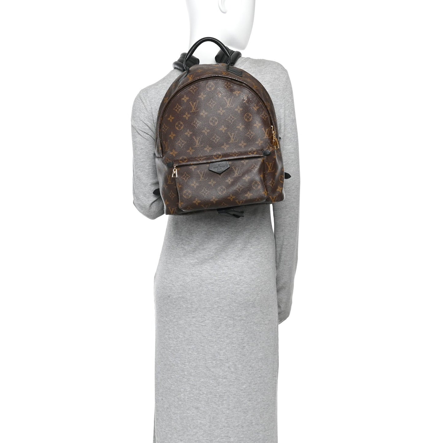Monogram Palm Springs Backpack MM