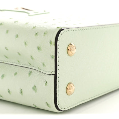 Ostrich Capucines Mini Vert Celadon