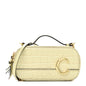 Calfskin Crocodile Embossed Mini C Vanity Bag Light Eucalyptus