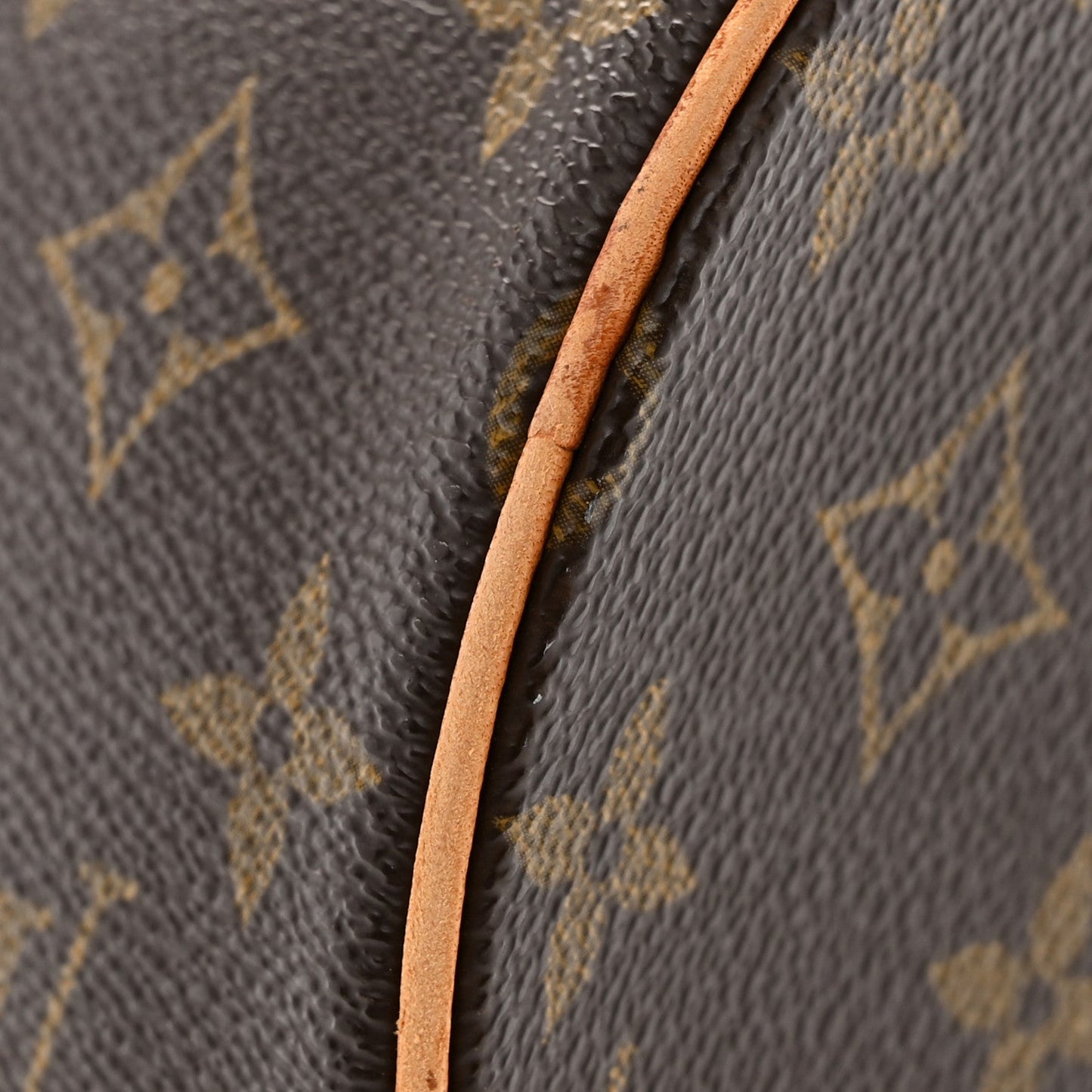 Monogram Papillon 30 with Companion
