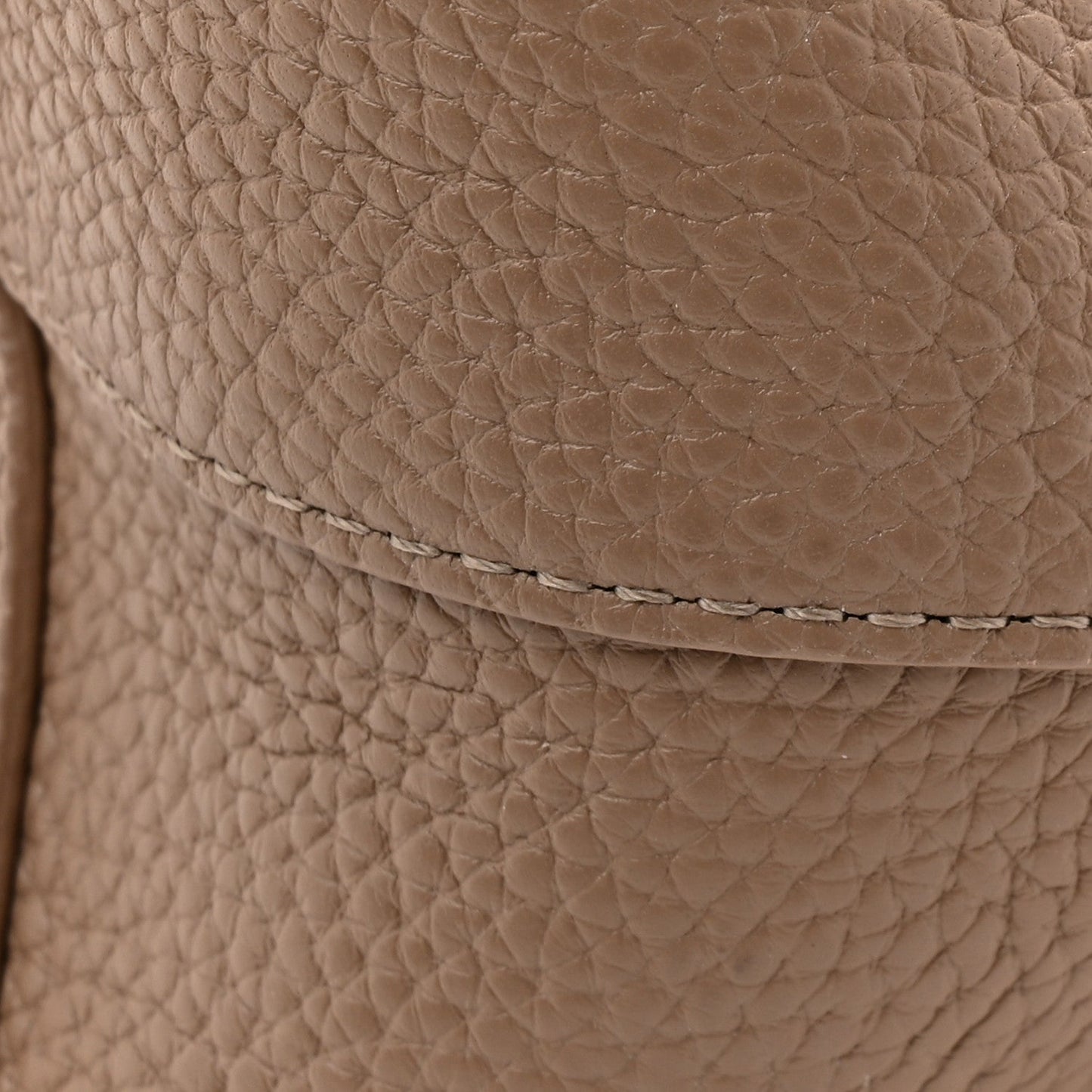 Pebbled Calfskin Small Everyday Cabas Biscotto
