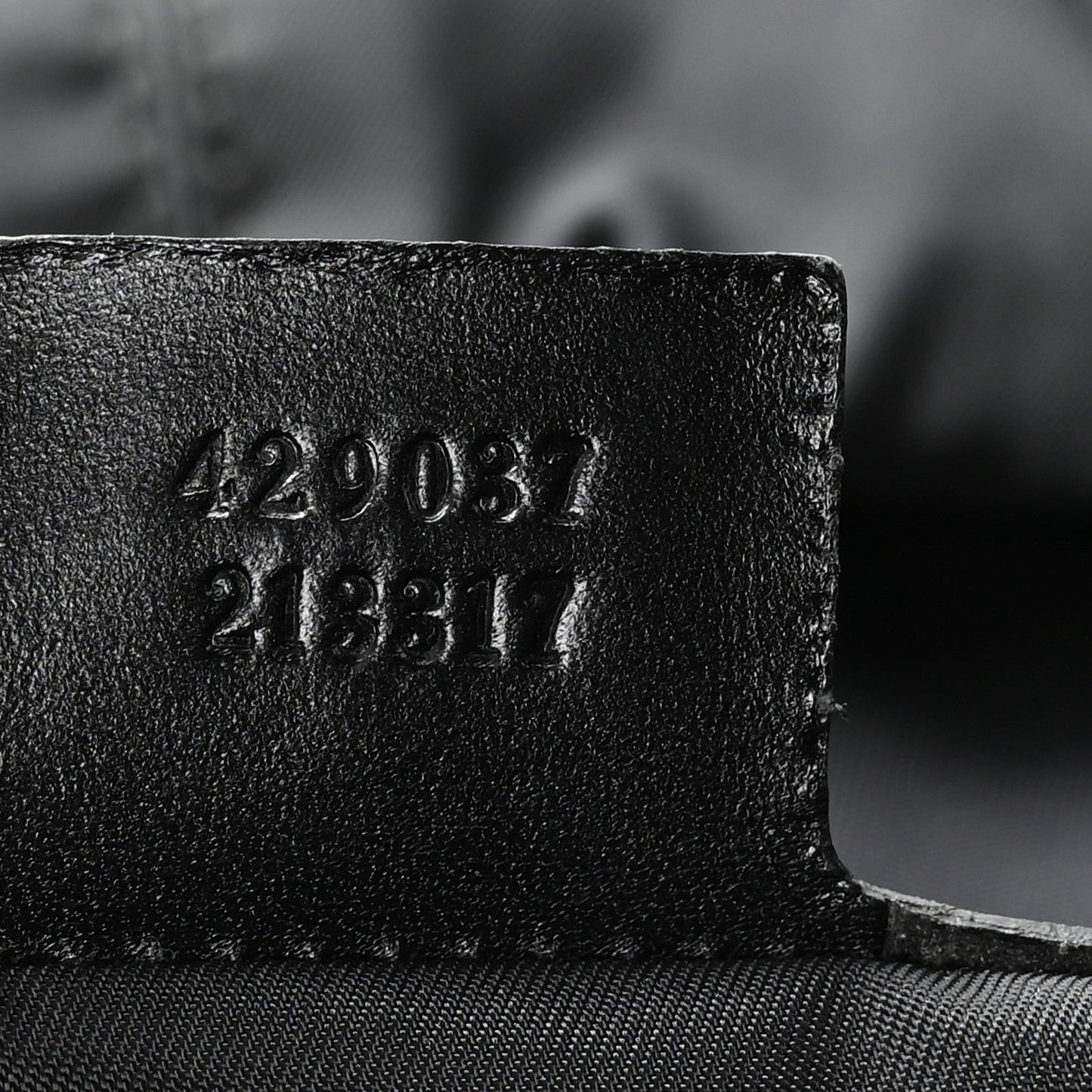 Techno Canvas Web Double Buckle Backpack Black