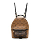 Reverse Monogram Palm Springs Backpack Mini