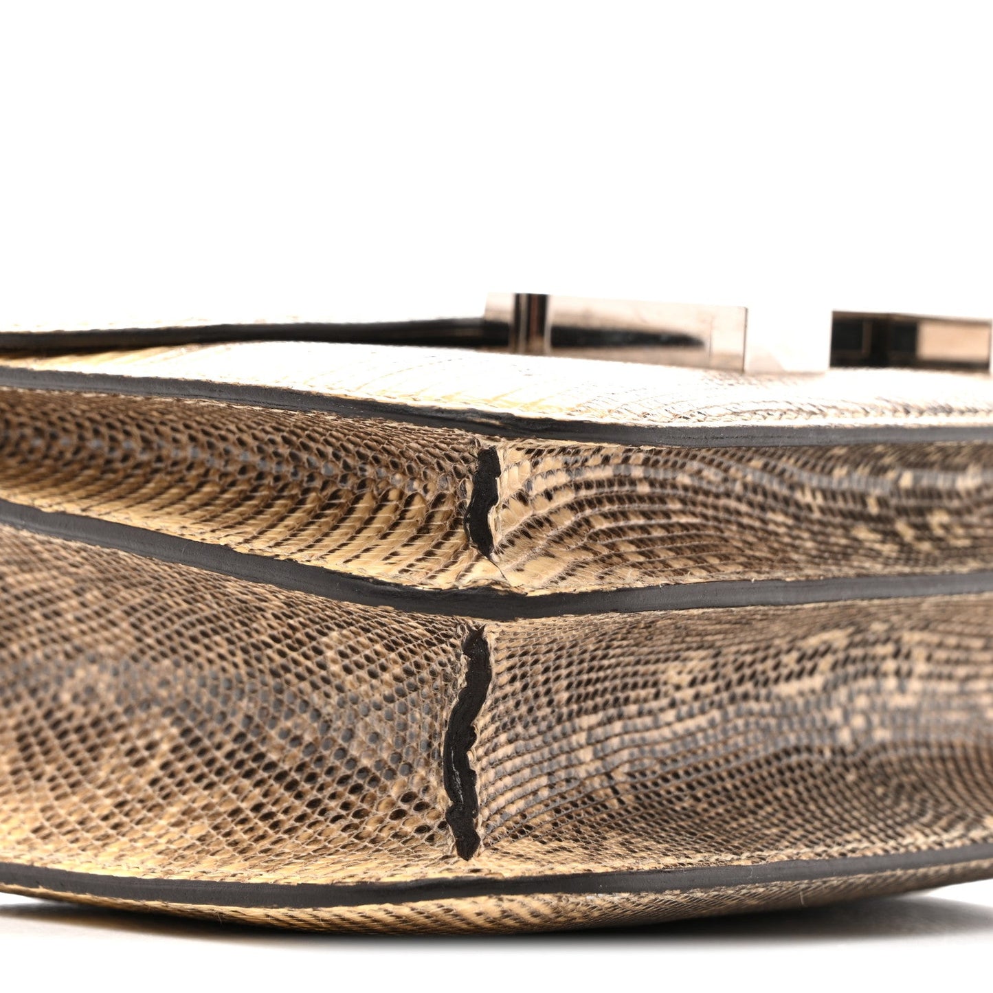 Lizard Constance 18 Ombre