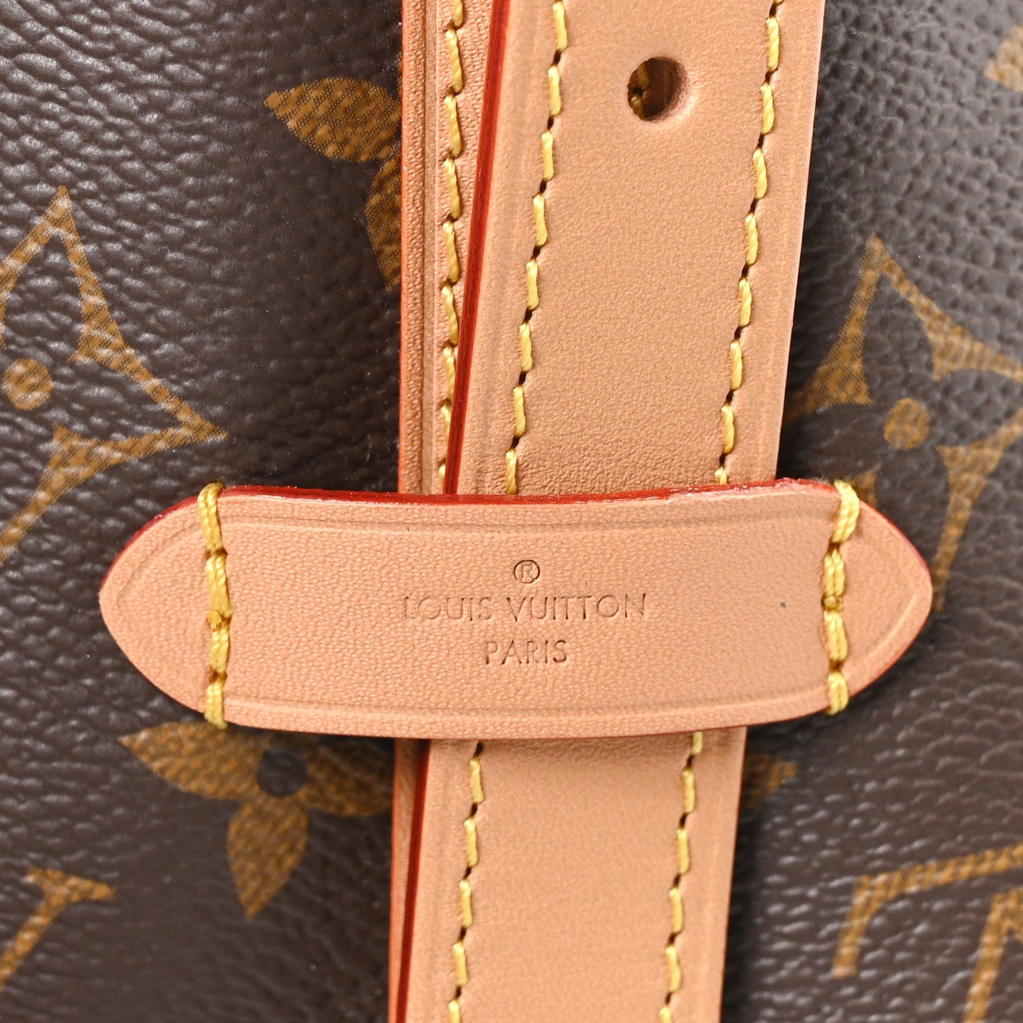 Monogram Carryall PM