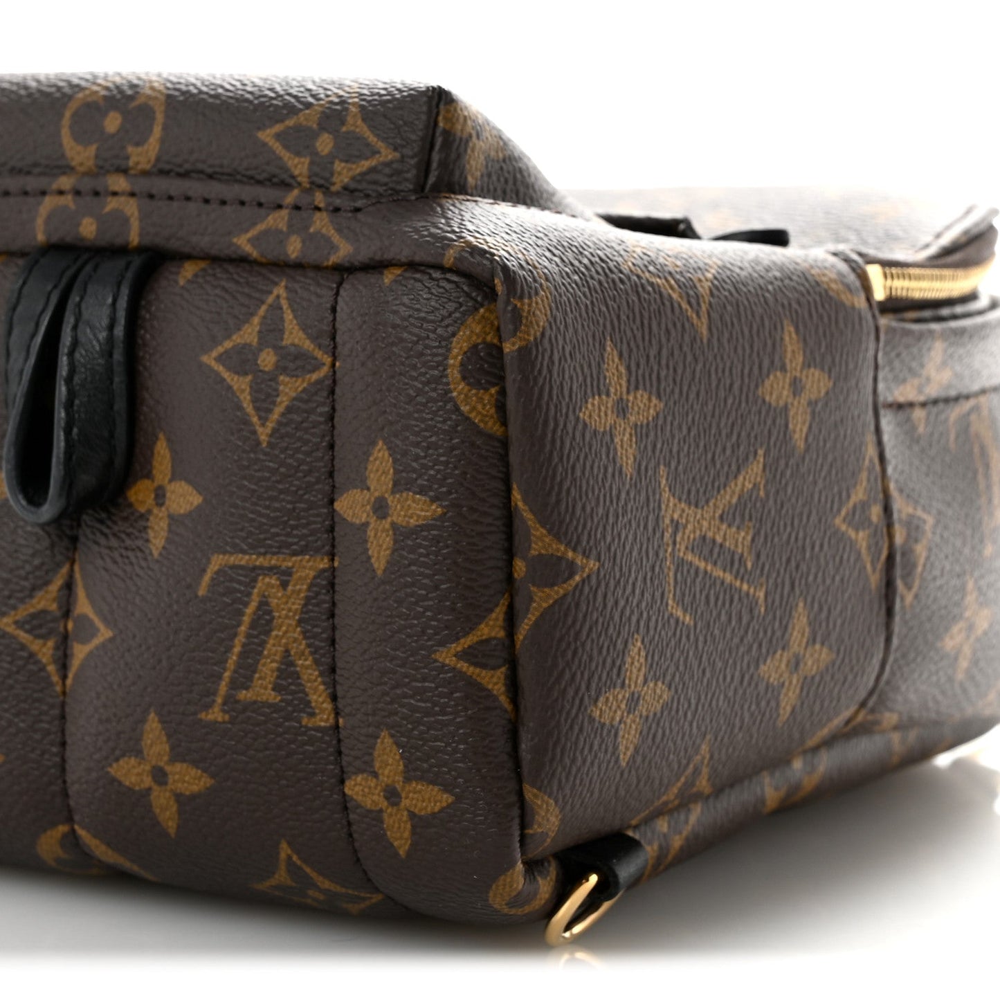 Monogram Palm Springs Backpack Mini