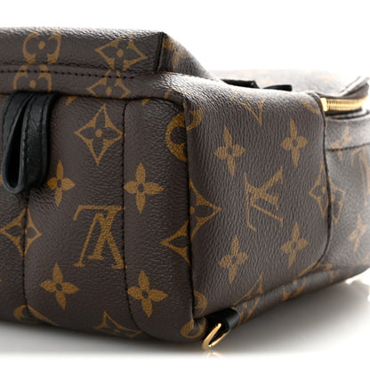 Monogram Palm Springs Backpack Mini