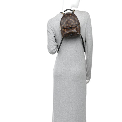 Monogram Palm Springs Backpack Mini