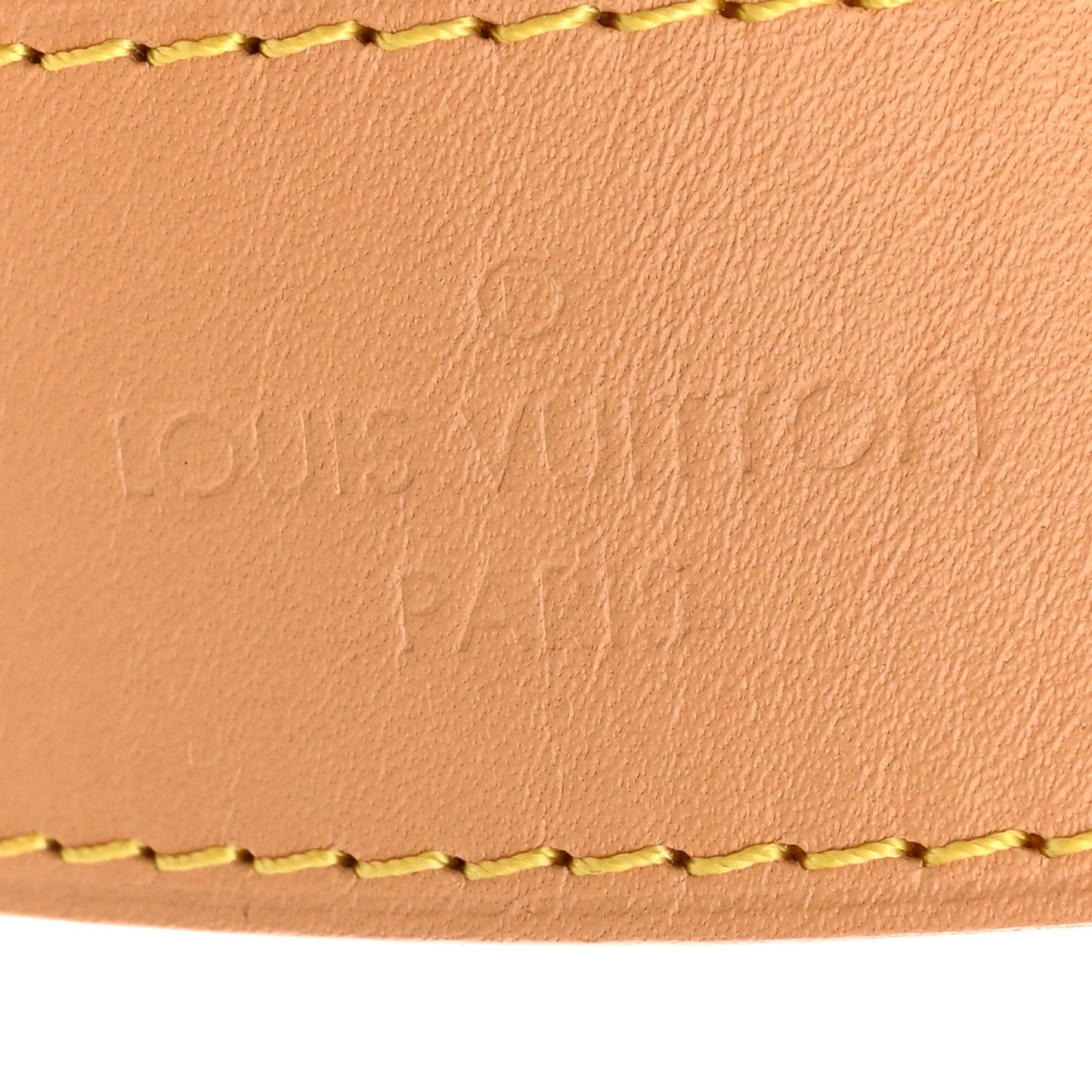 Monogram Carryall PM