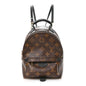 Monogram Palm Springs Backpack Mini