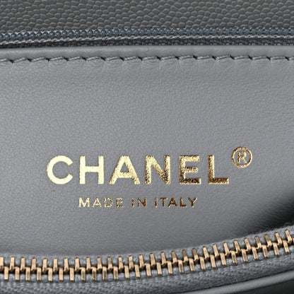 Caviar Lizard Embossed Quilted Small Coco Handle Flap Light Grey