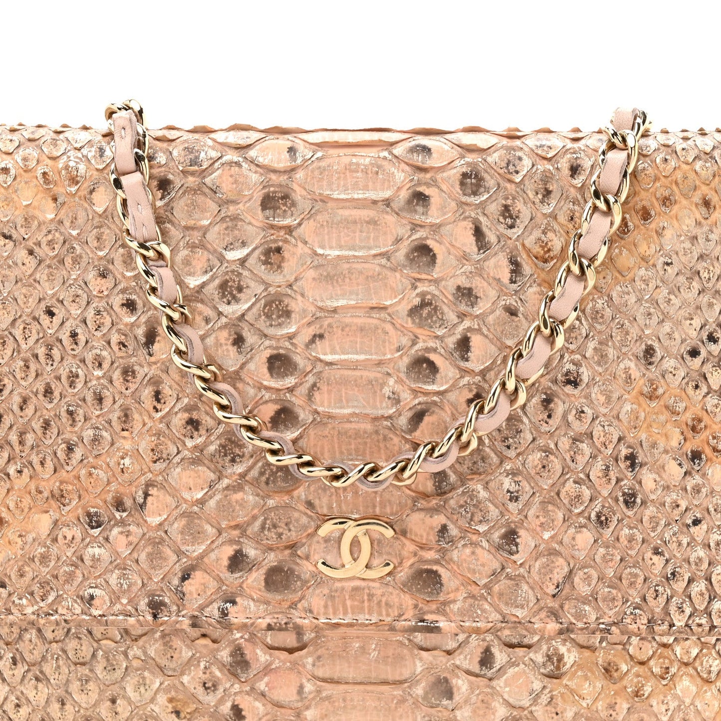 Metallic Snakeskin Wallet On Chain WOC Ivory Gold
