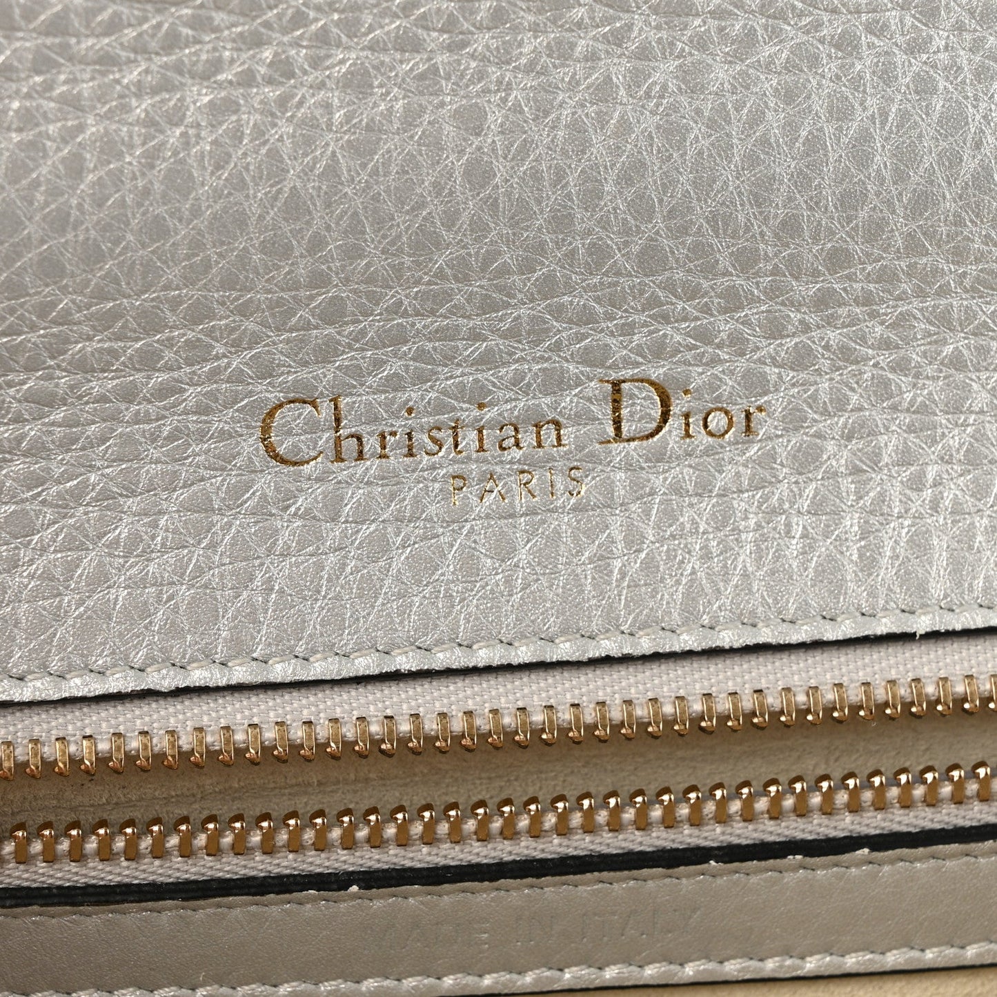 Metallic Grained Calfskin Diorama Wallet on Chain Pouch Silver