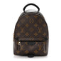 Monogram Palm Springs Backpack Mini