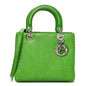 Snakeskin Medium Lady Dior Green