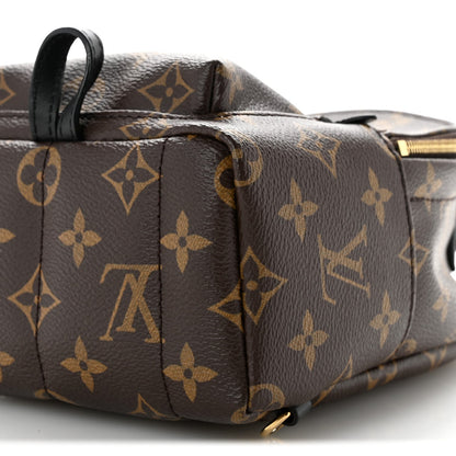 Monogram Palm Springs Backpack Mini