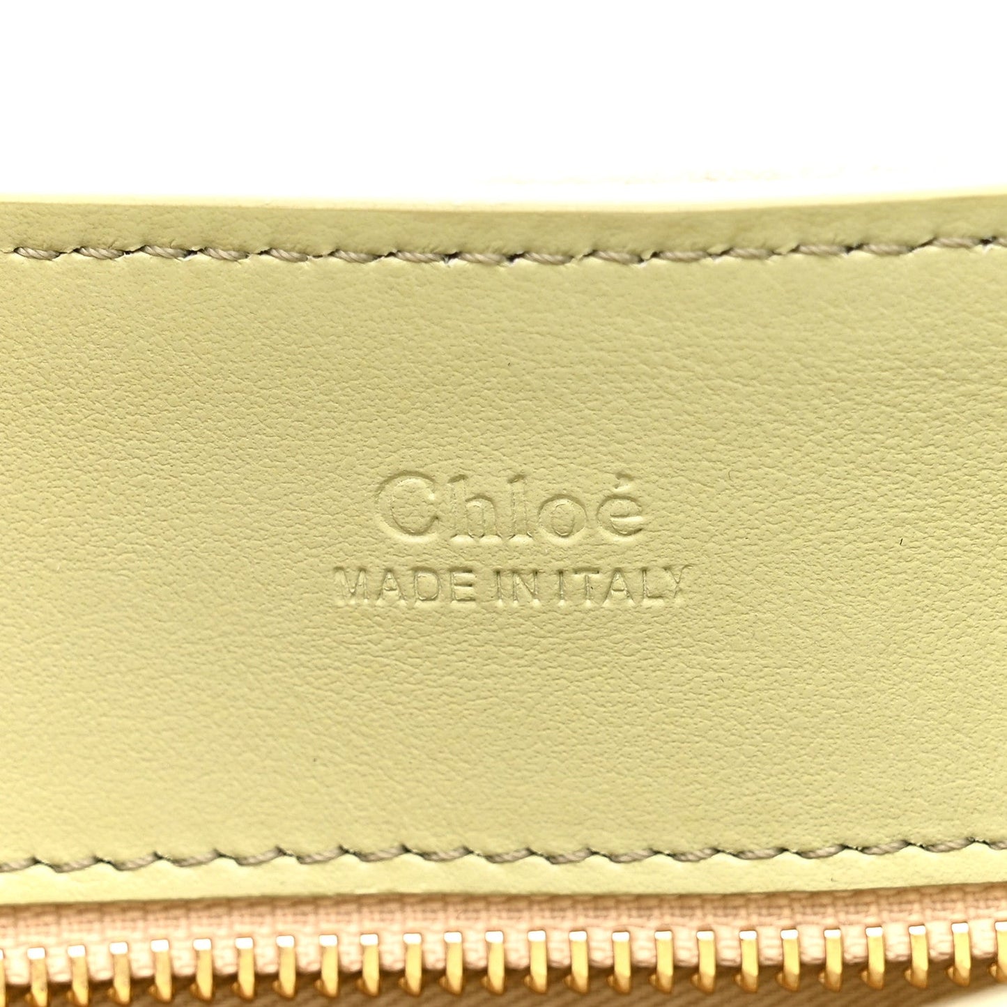 Calfskin Mini Tess Day Bag Light Eucalyptus