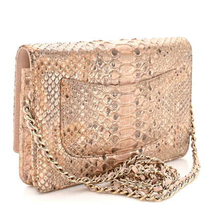 Metallic Snakeskin Wallet On Chain WOC Ivory Gold