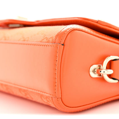 GG Monogram Textured Dollar Calfskin Small Luce Shoulder Bag Orange