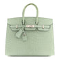 Matte Alligator Birkin Sellier 25 Vert D'eau