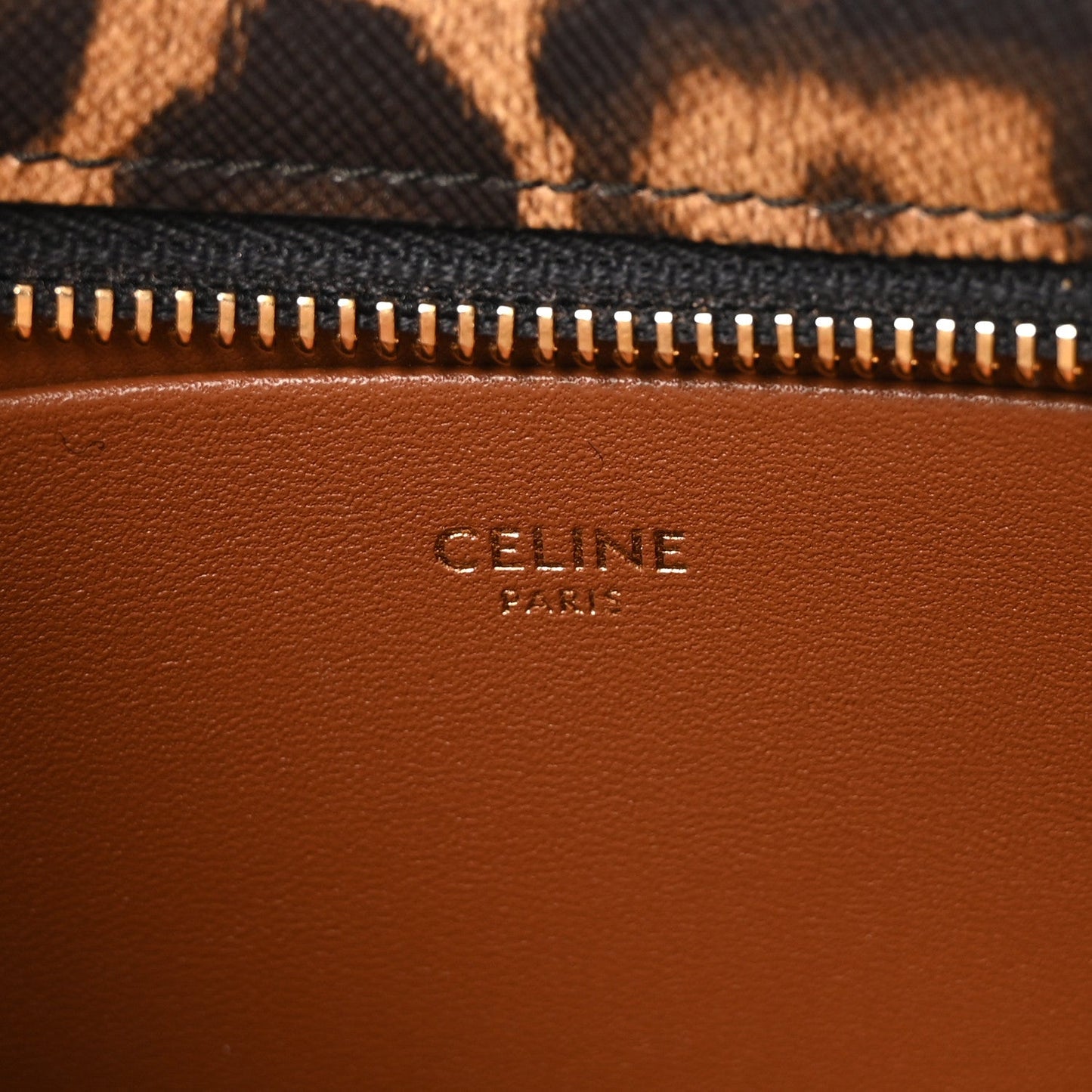 Canvas Calfskin Medium Tilly Triomphe Shoulder Bag Leopard