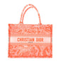 Transparent Canvas Embroidered Medium Dioriviera Toile De Jouy Book Tote