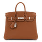 Togo Birkin 25 Gold