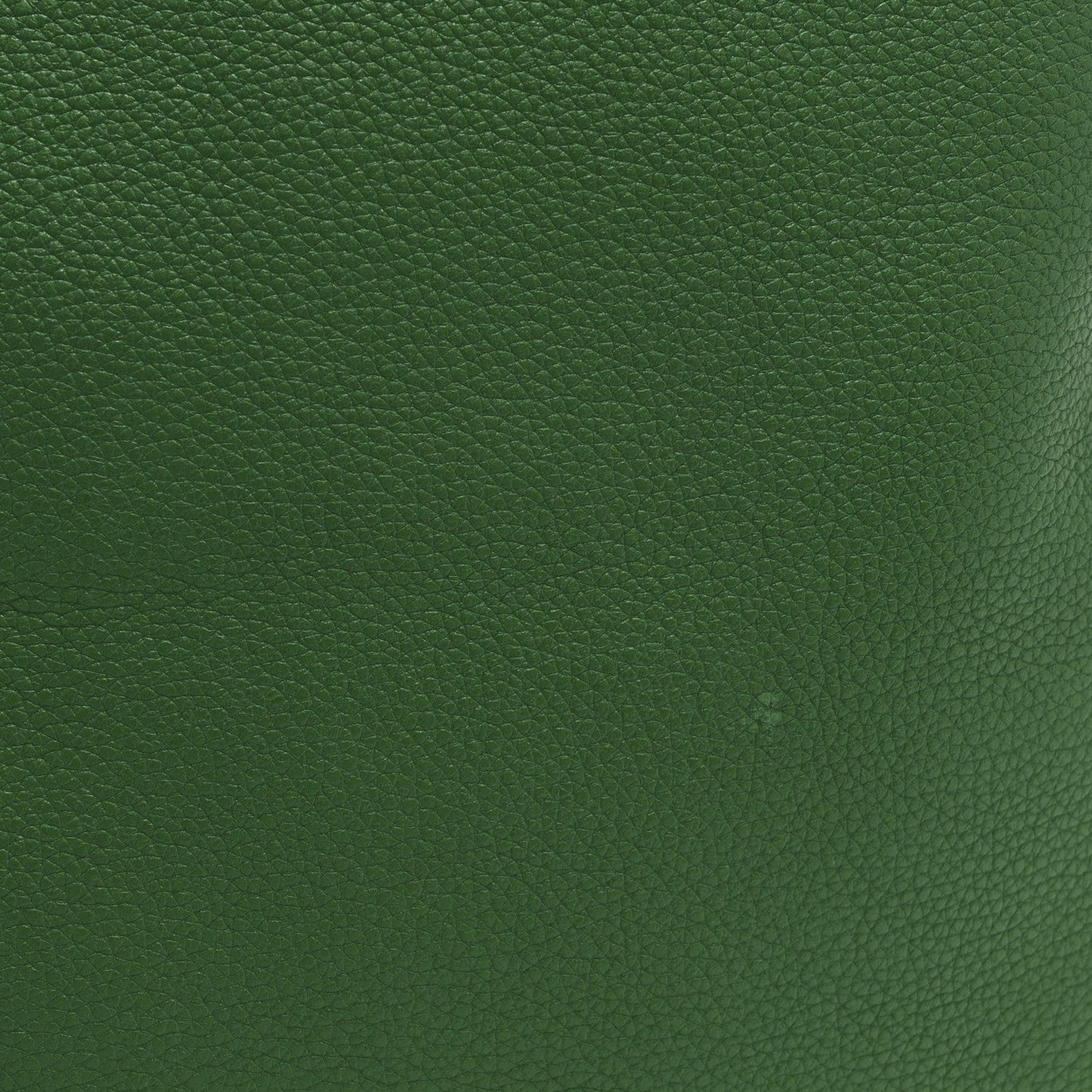 Calfskin Logo Drawstring Backpack Green