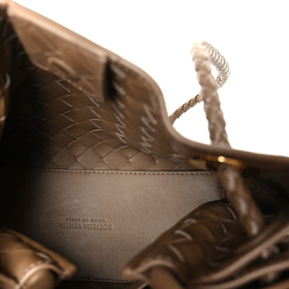 Nappa Intrecciato Small Andiamo Shoulder Bag Pinecone