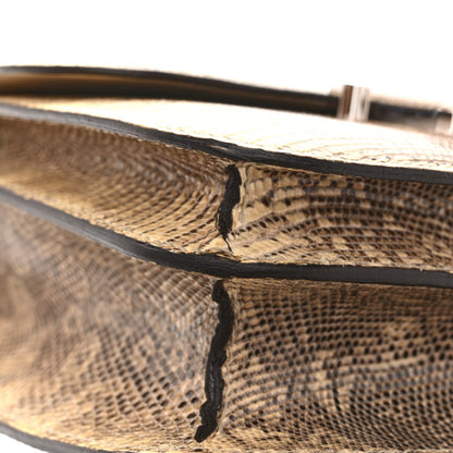 Lizard Constance 18 Ombre