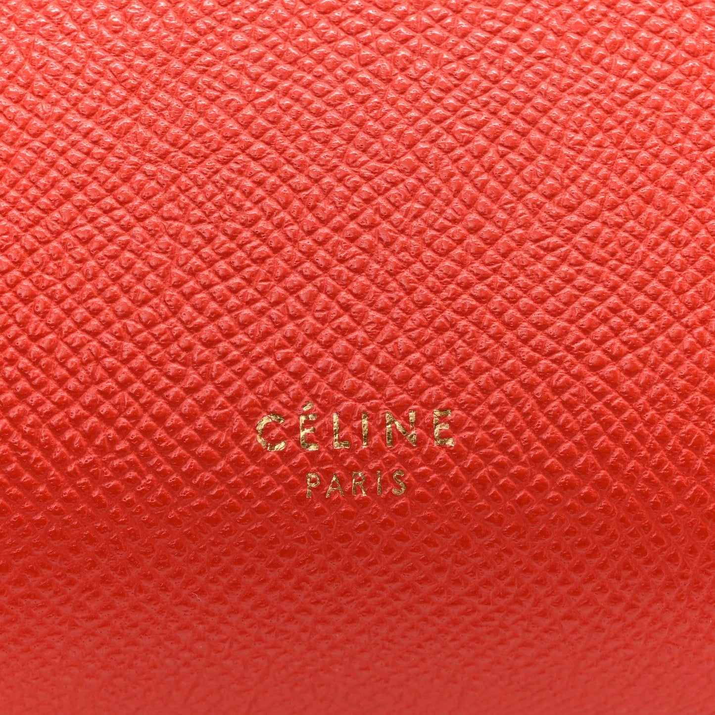 Grained Calfskin Nano Belt Bag Coral