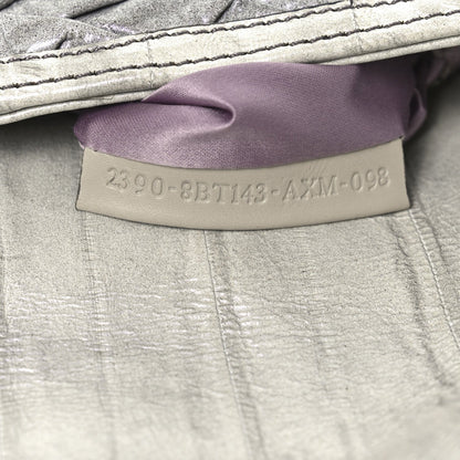 Iridescent Eelskin Maxi Chain Baguette Bag Grey Multicolor