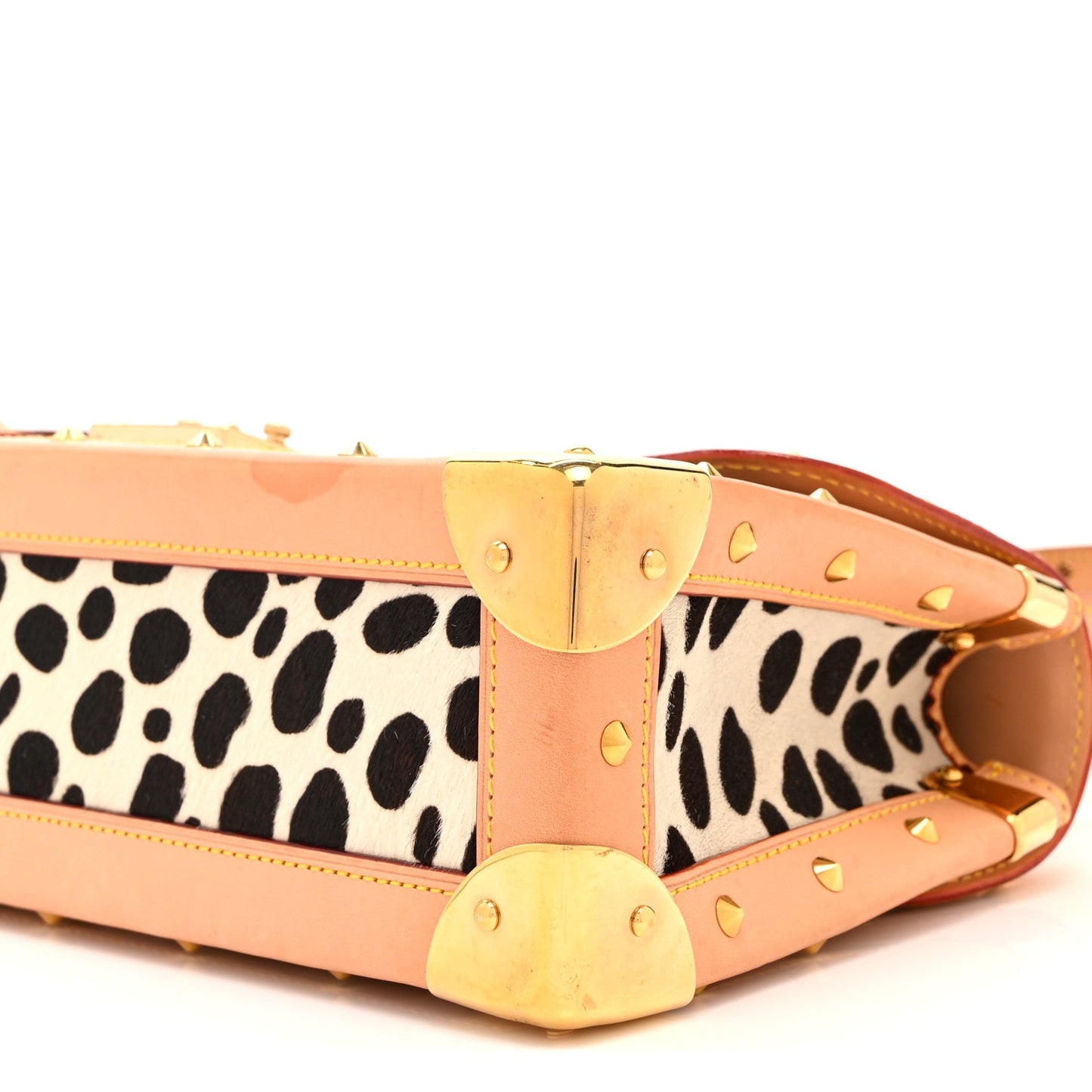 Monogram Multicolor Dalmatian Sac Rabat