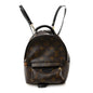Monogram Palm Springs Backpack Mini