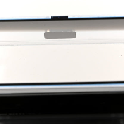 Plexiglass Vitello Mini Baguette Trunk Black Transparent