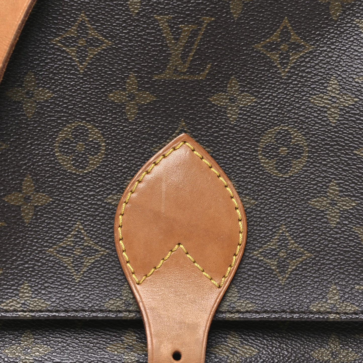 Monogram Cartouchiere 22