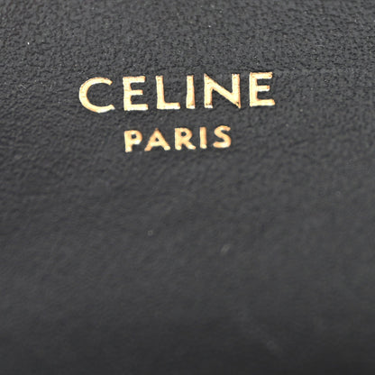 Shiny Calfskin Mini Triomphe Black