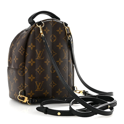 Monogram Palm Springs Backpack Mini
