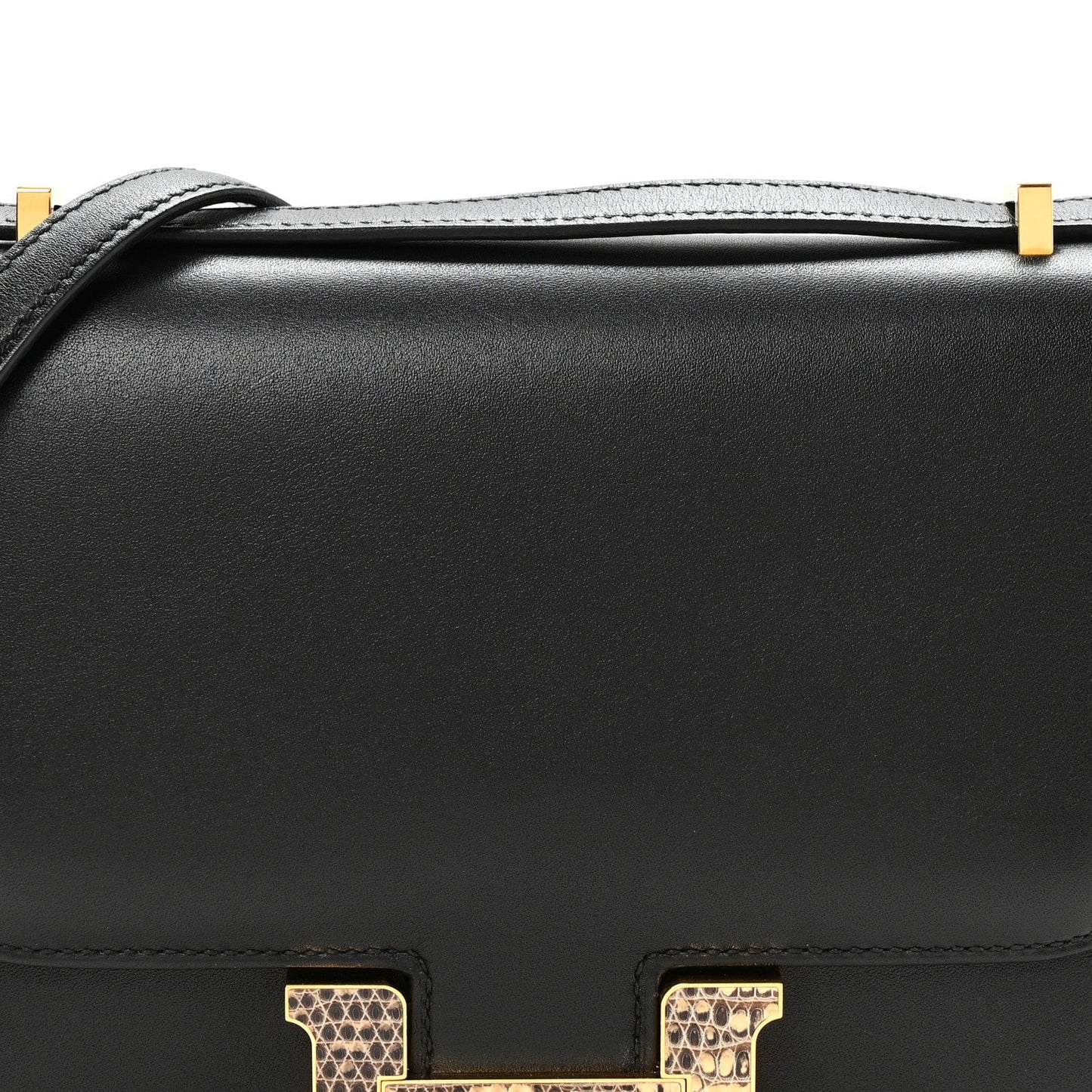 Tadelakt Lizard Marquette Constance 18 Black Ombre