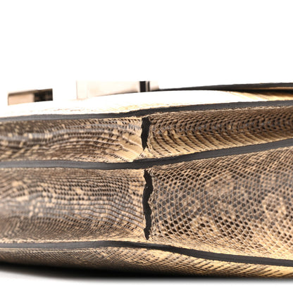 Lizard Constance 18 Ombre