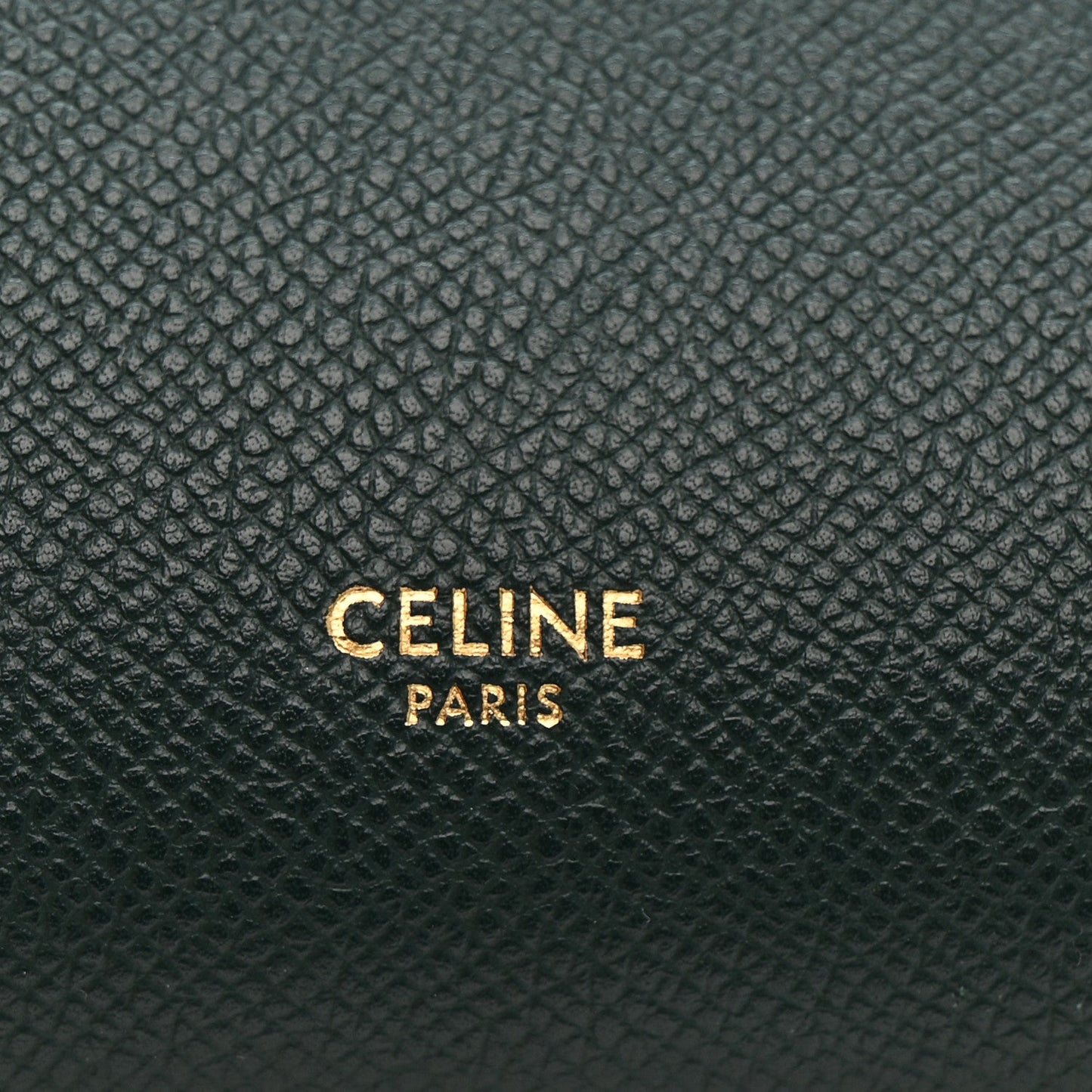 Grained Calfskin Mini Belt Bag Amazone