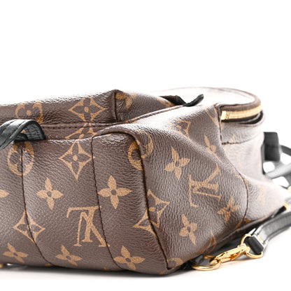 Monogram Palm Springs Backpack Mini