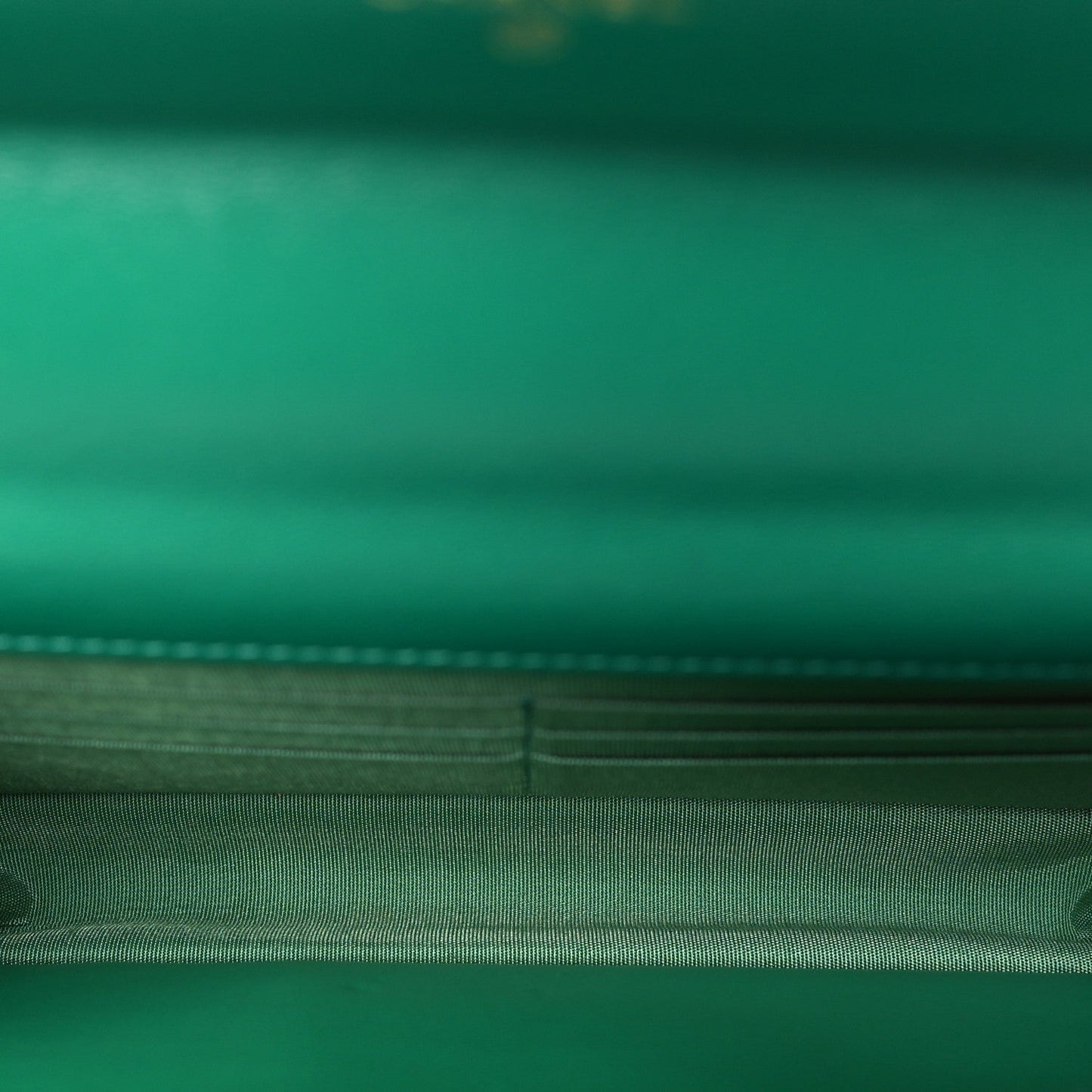 Lambskin Quilted Chanel 19 Wallet On Chain WOC Green