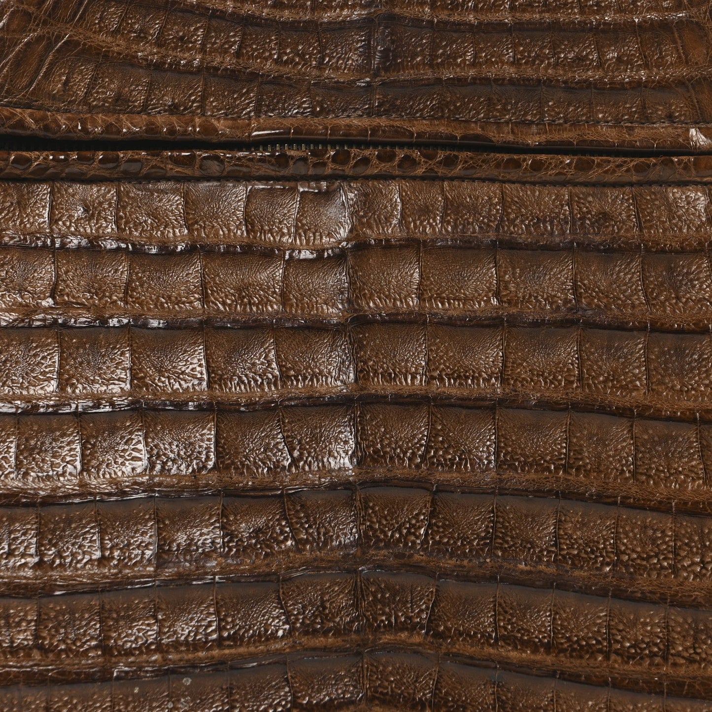 Alligator Shopping Tote Brown